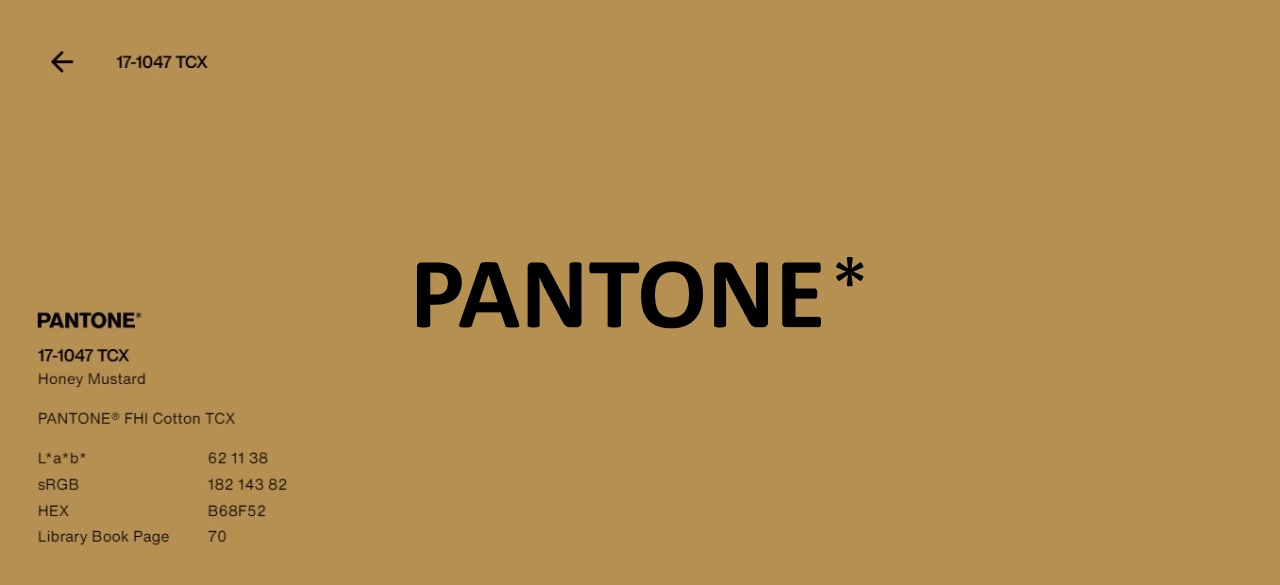 7285bcea-0ccb-11ed-a8ad-3497f65a19e0_3.JPEG