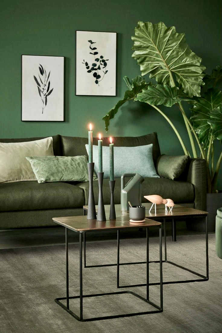 CT1.18 Dark Olive 3.jpg