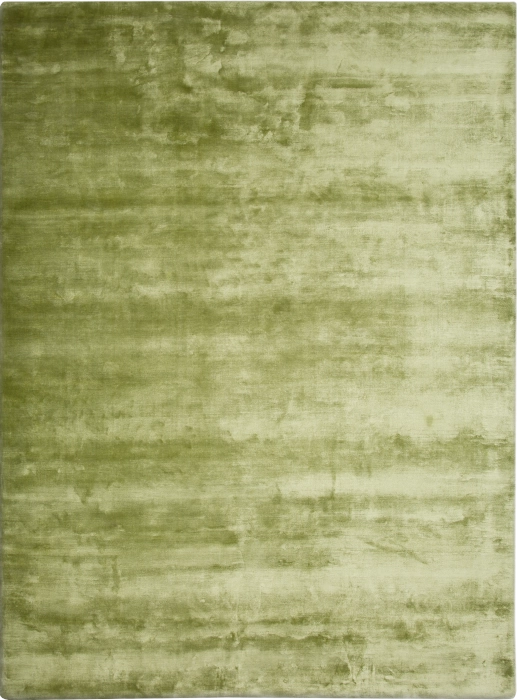 CT1.18 Green.png