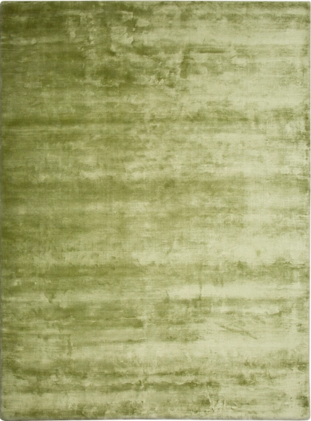 CT1.18 Green.png