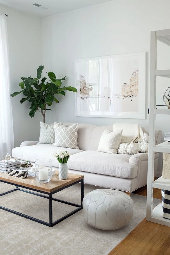 C22.1 Ivory 2.jpg
