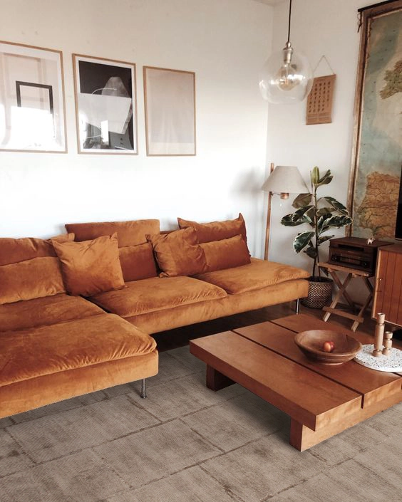 c1.17 brown 2.jpg