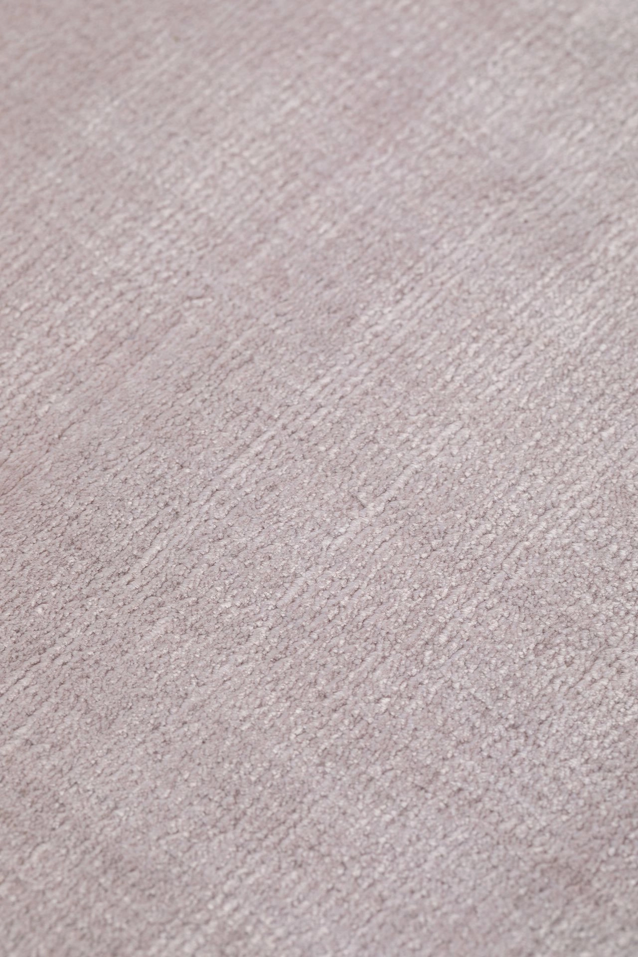 ct1.18 pale rose 1.jpg