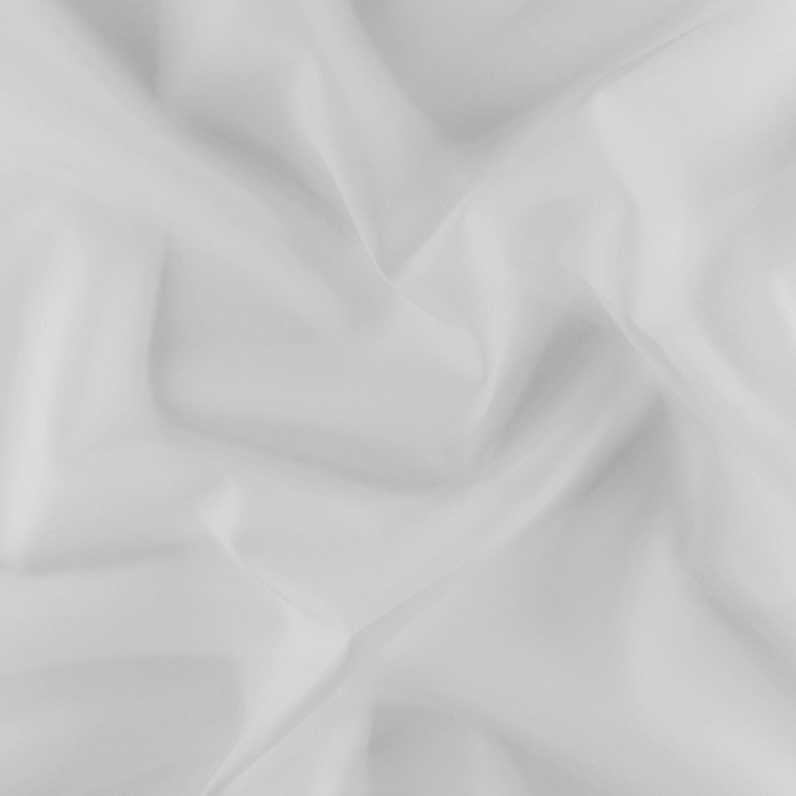 Aura_Feather_38800014_3.jpg