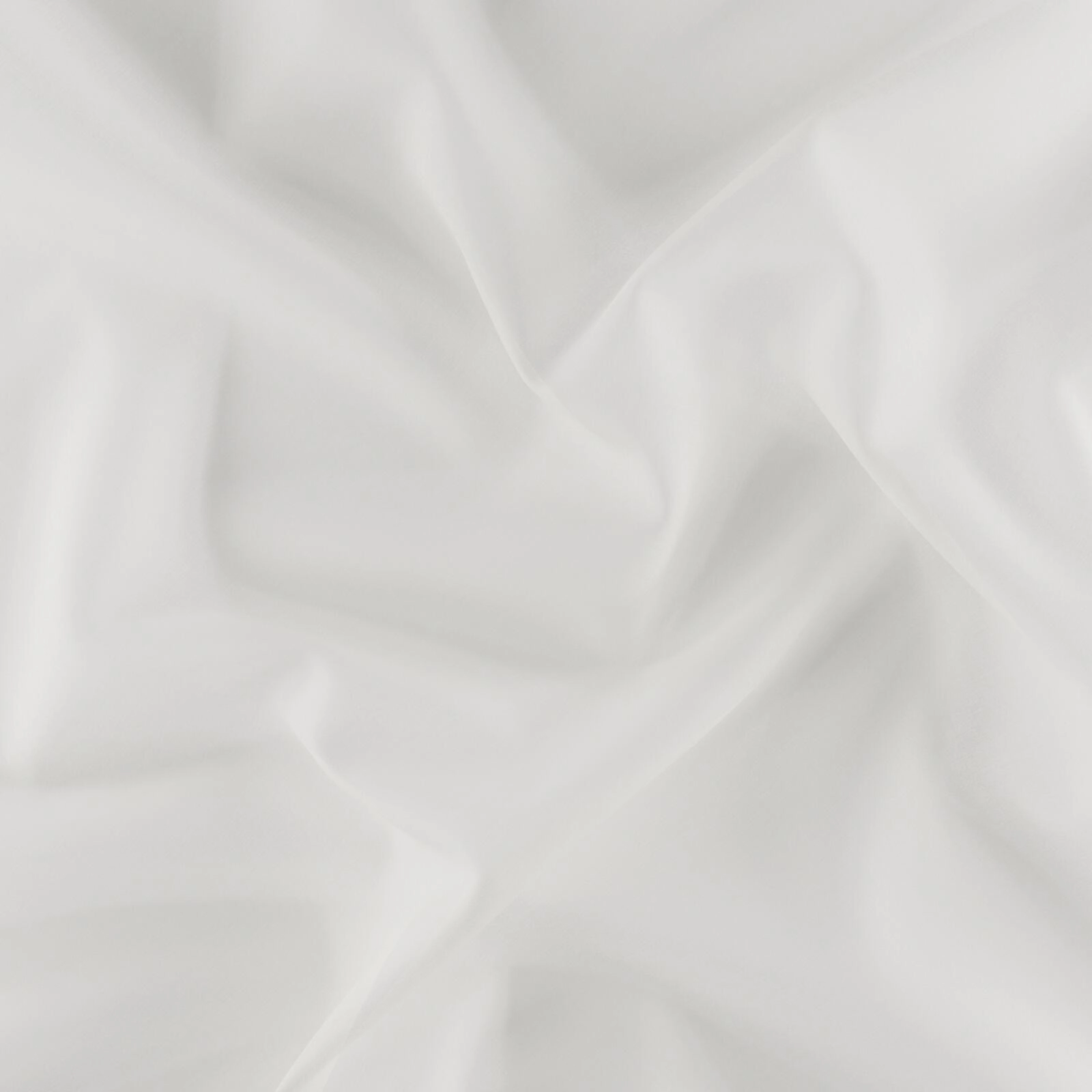 Aura_Sesame_38800020_0.jpg