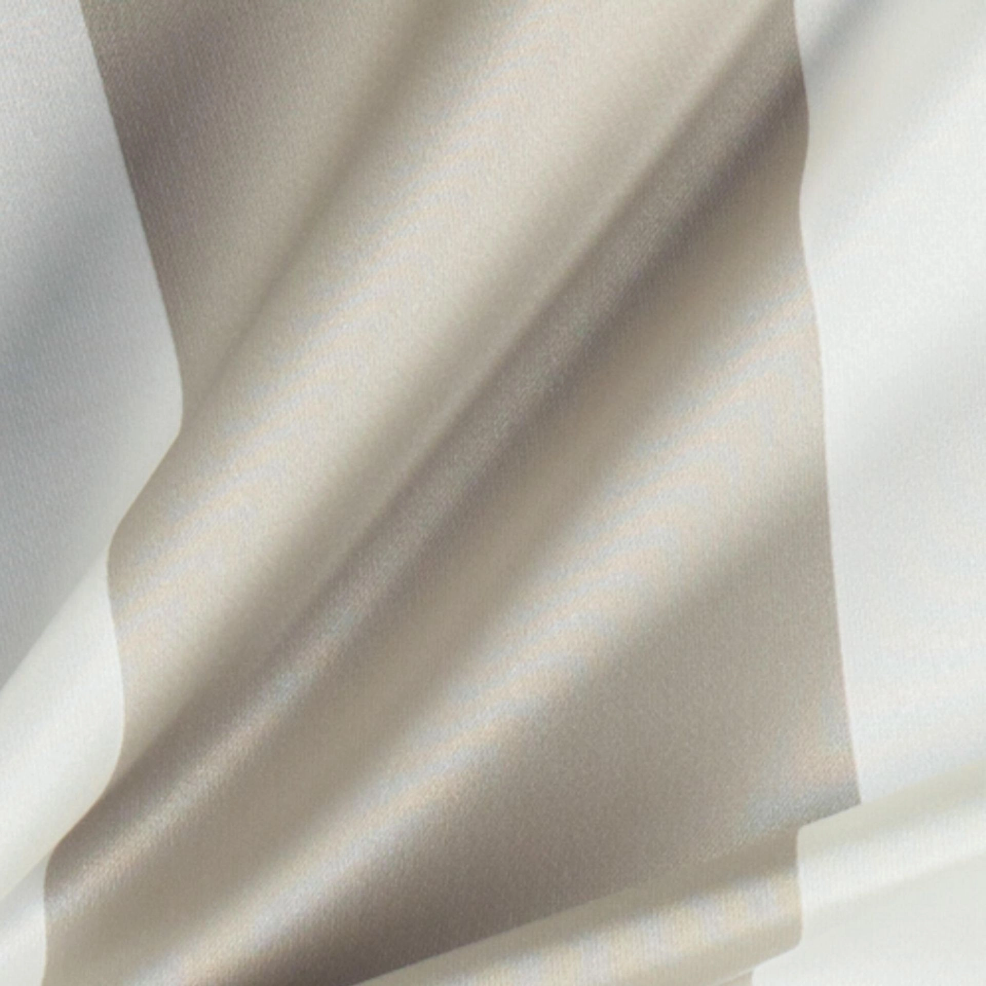 Limestone-_-Amilly-Limestone-_Photograph_CloseUp.jpg