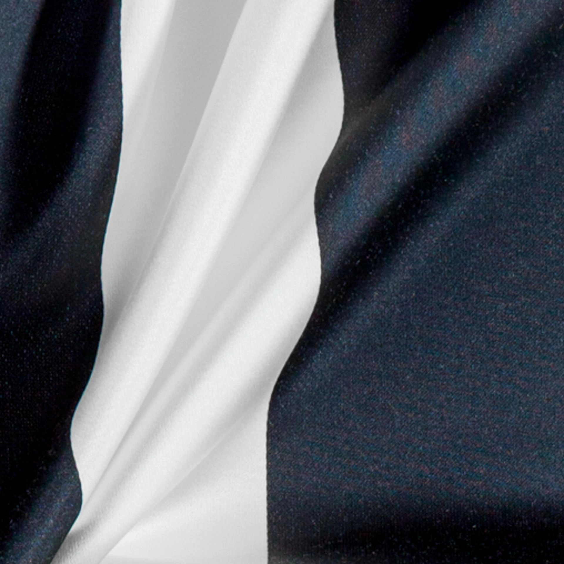 Onyx-_-Amilly-Onyx-_Photograph_CloseUp.jpg