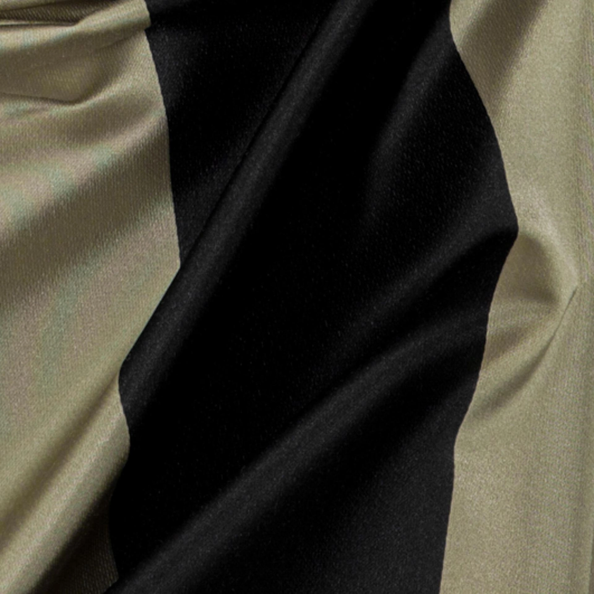 Pirate-_-Amilly-Pirate-_Photograph_CloseUp.jpg