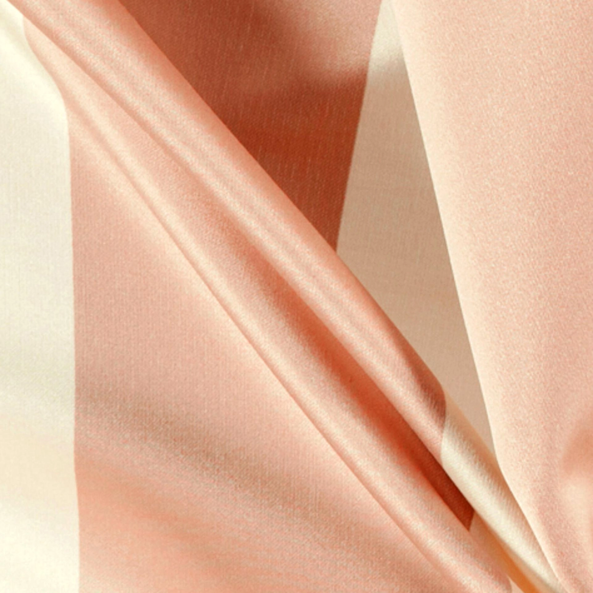 Powder-_-Amilly-Powder-_Photograph_CloseUp.jpg