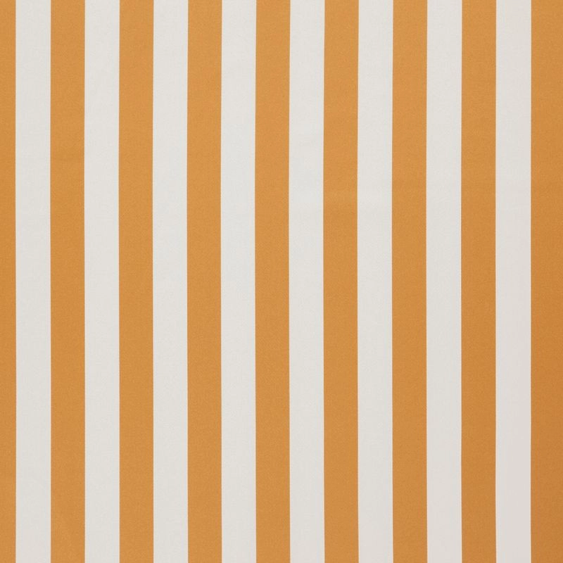 321_Amilly_76_Vira_Pumpkin.jpg