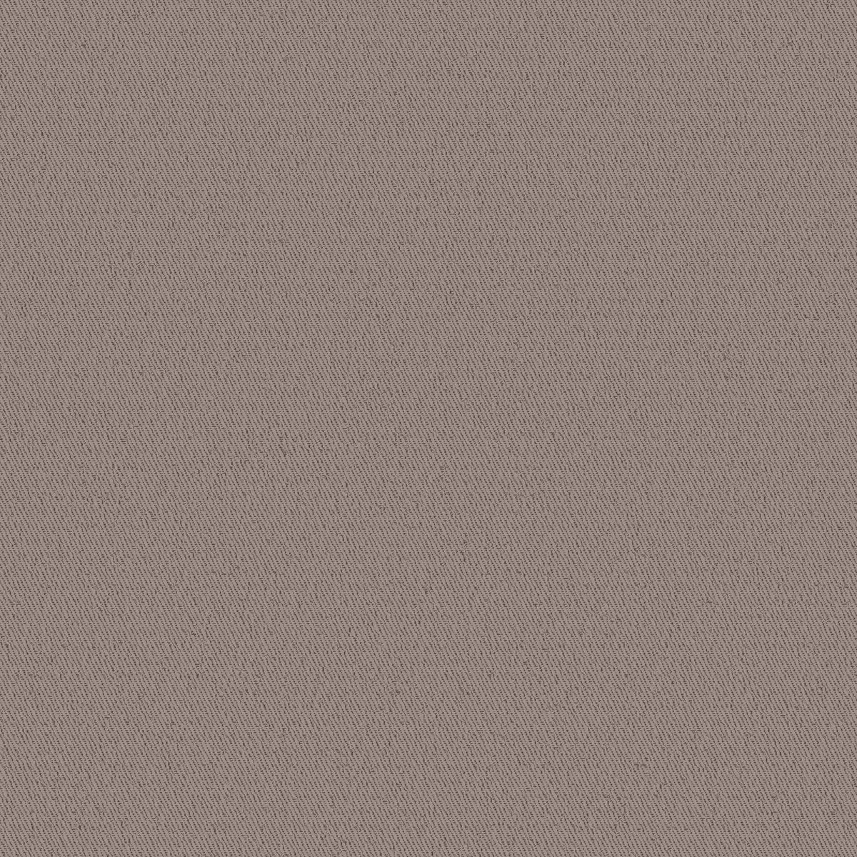 Gent Cocoa-main