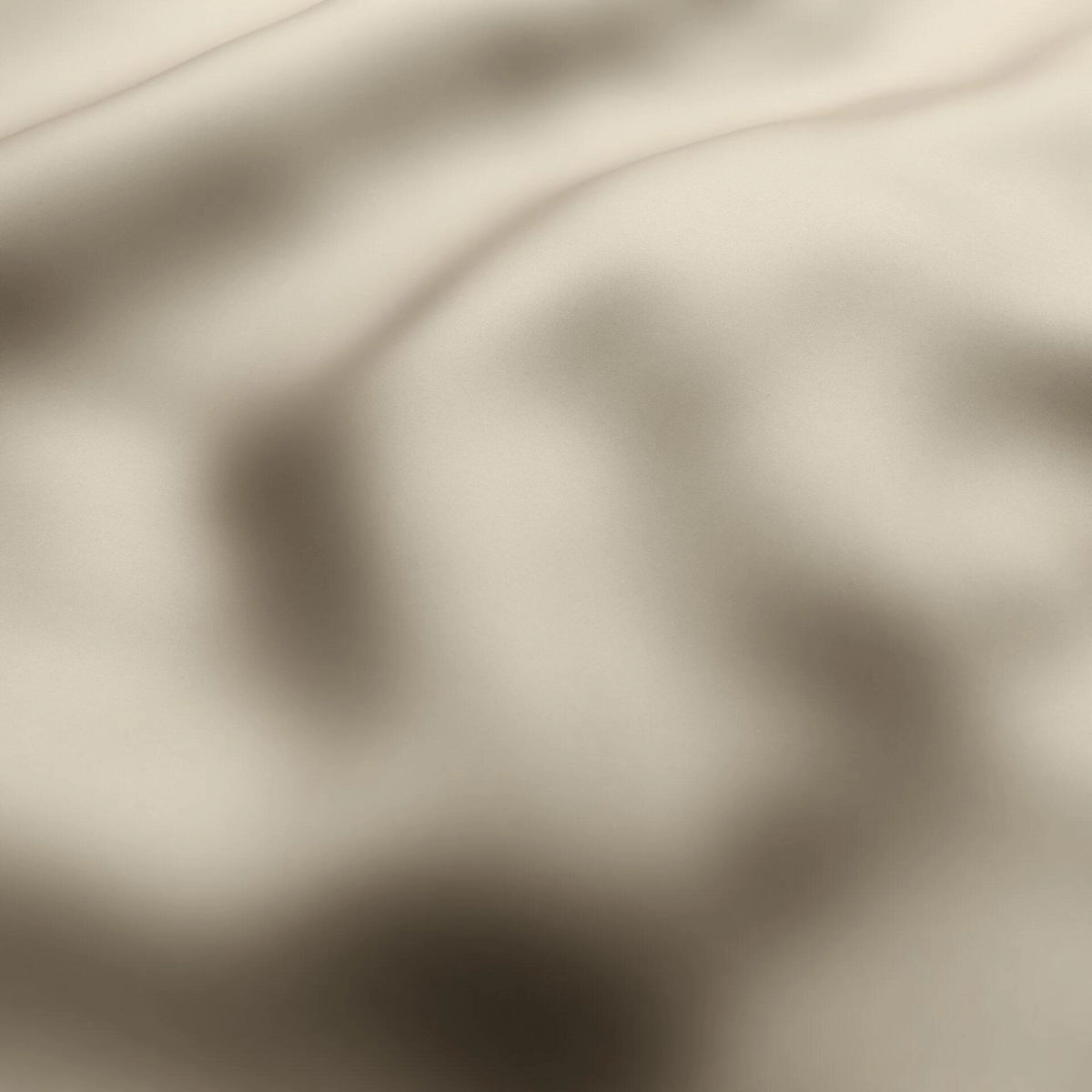 13-Funghi_ - Orba 11 3010021--Wrinkeled_WR_CloseUp.jpg