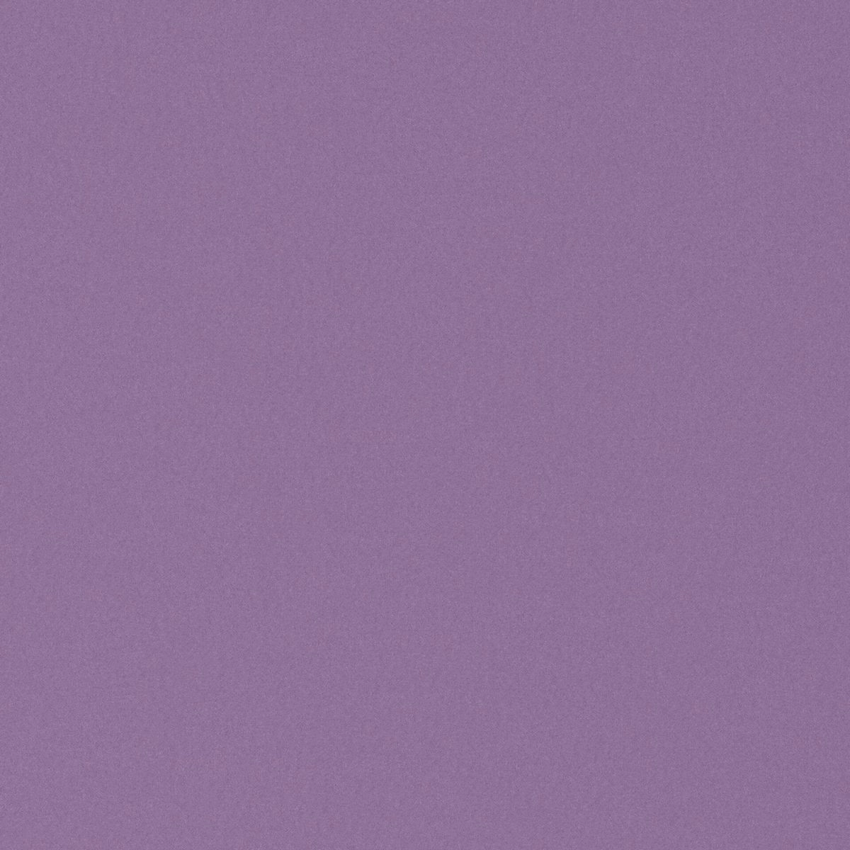 17-Sparrow - Orba 33 3010064--FlatShot_FS_FS_20.jpg