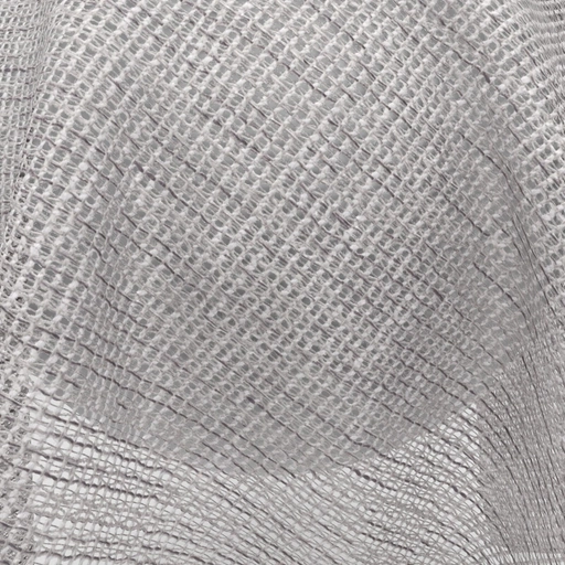 68ce95ed0845b54836567236.jpg