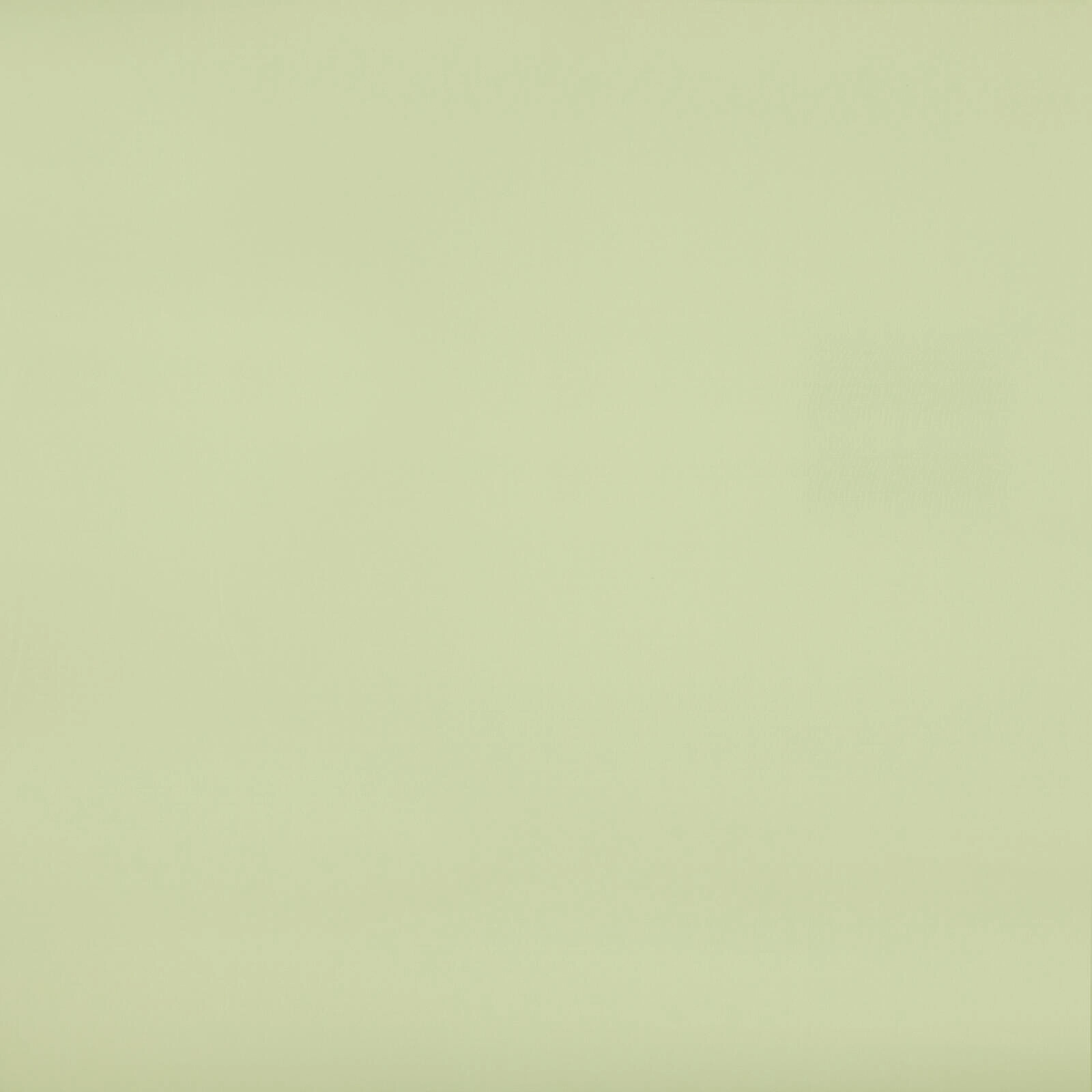 026_Pistachio_37000103_28.jpg