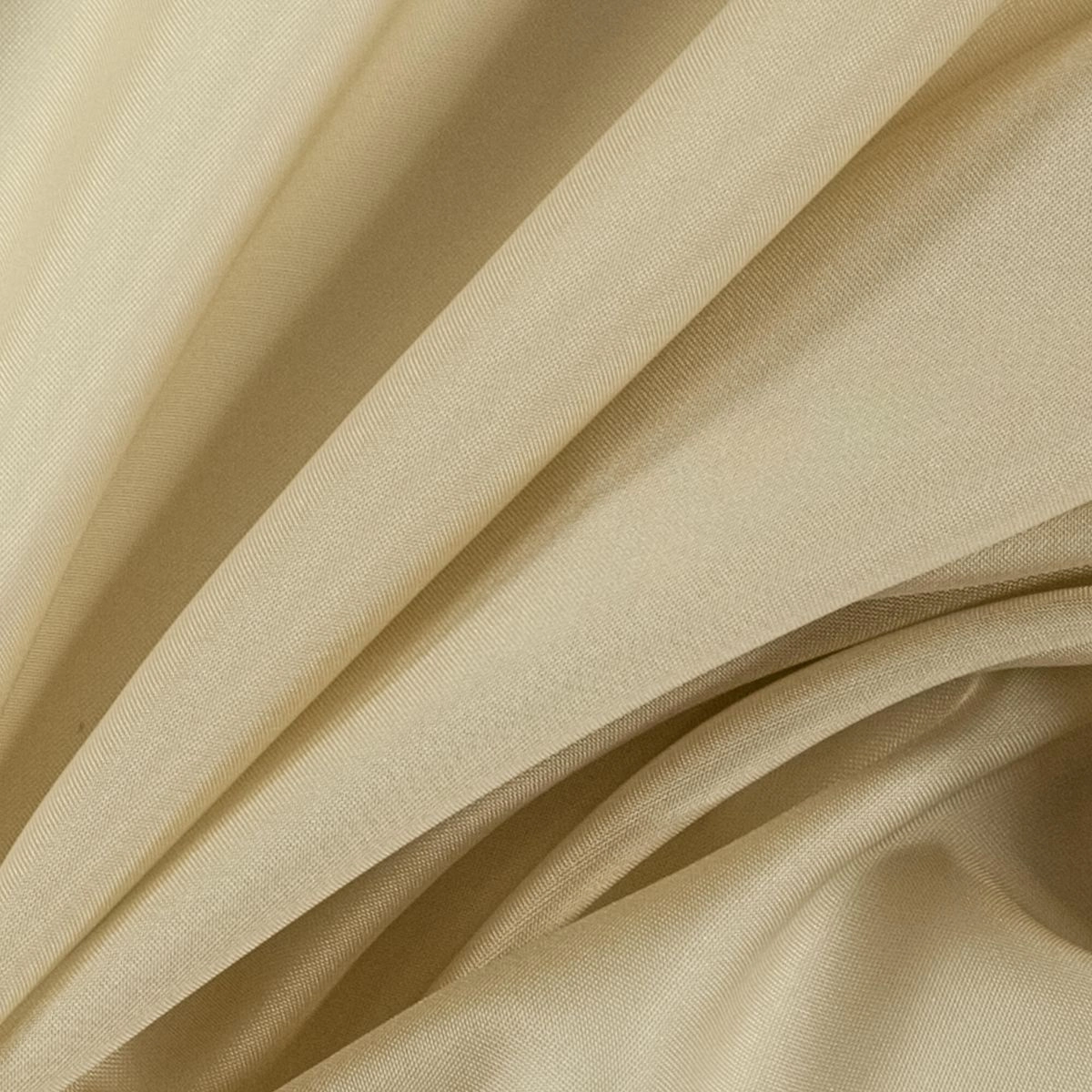 17_Camel-_-Melton-17-1800017_Photograph_CloseUp(1).jpg