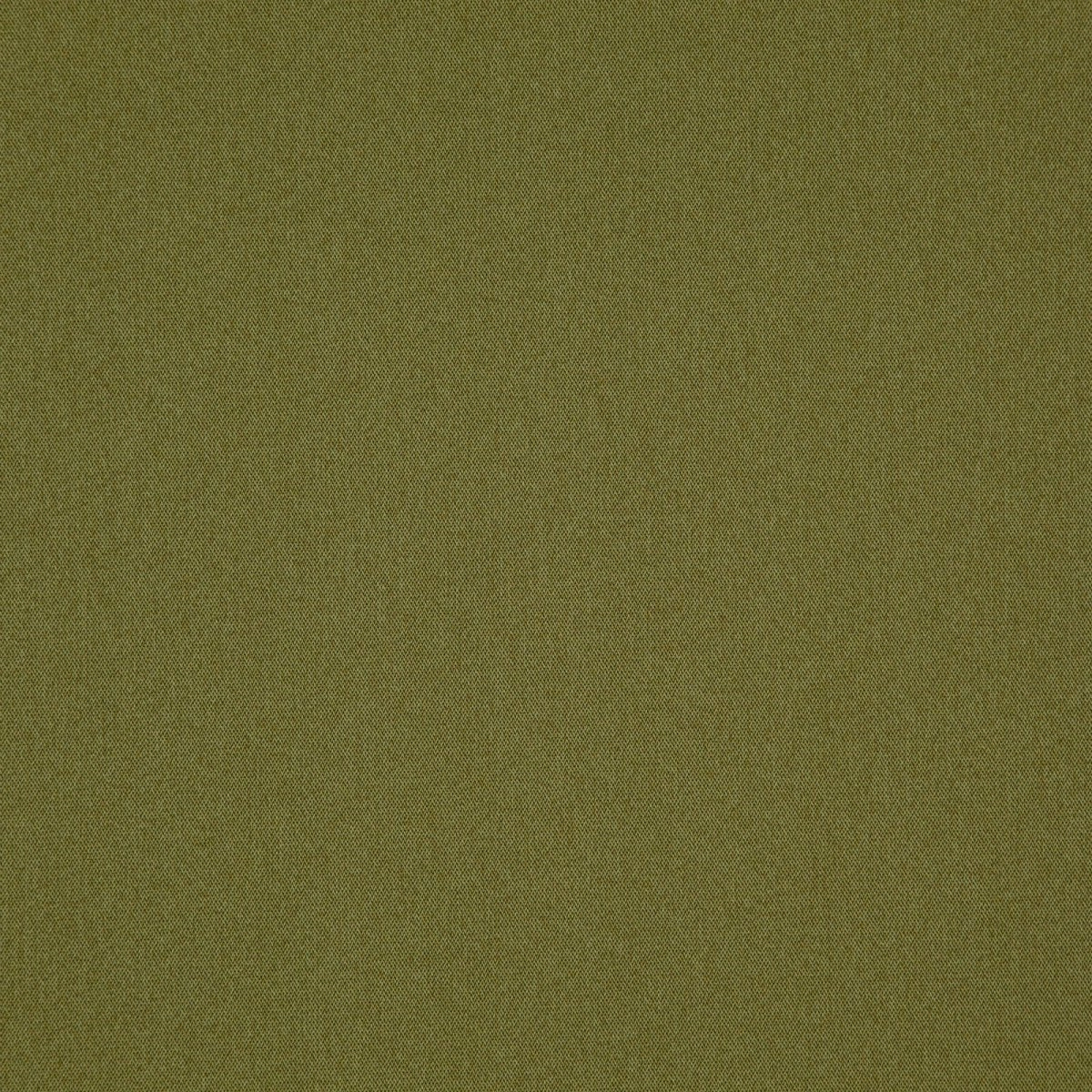 Fence Olive-main