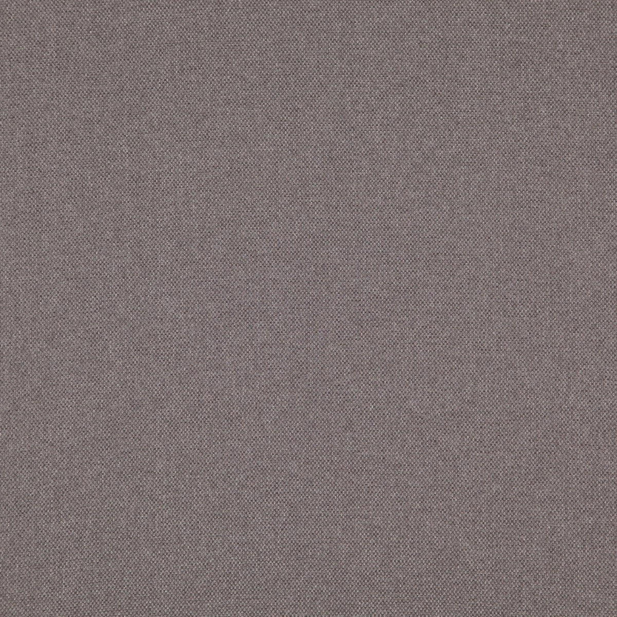 Fence Pewter-main