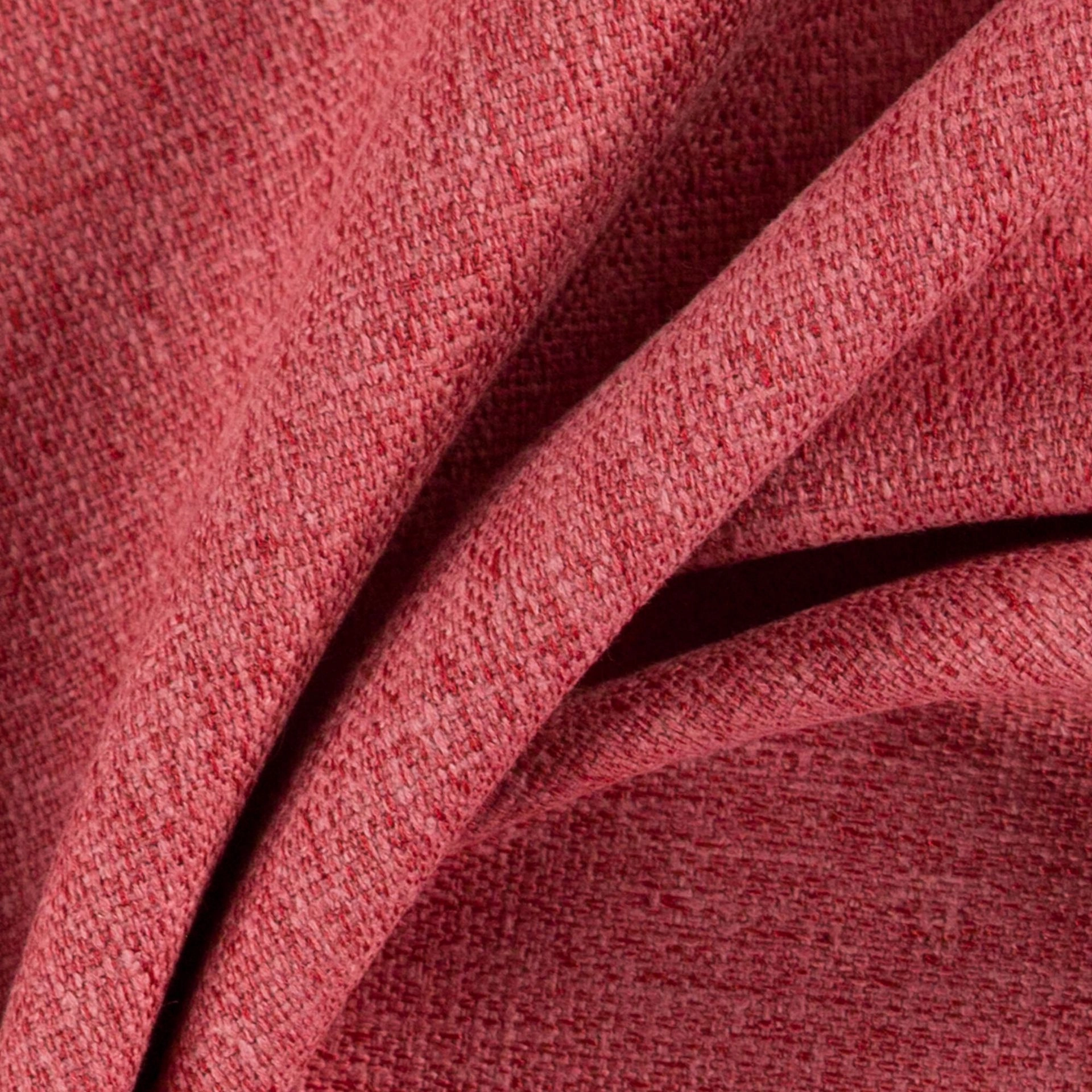 Azalea-_-Speck-Azalea-_Photograph_CloseUp.jpg
