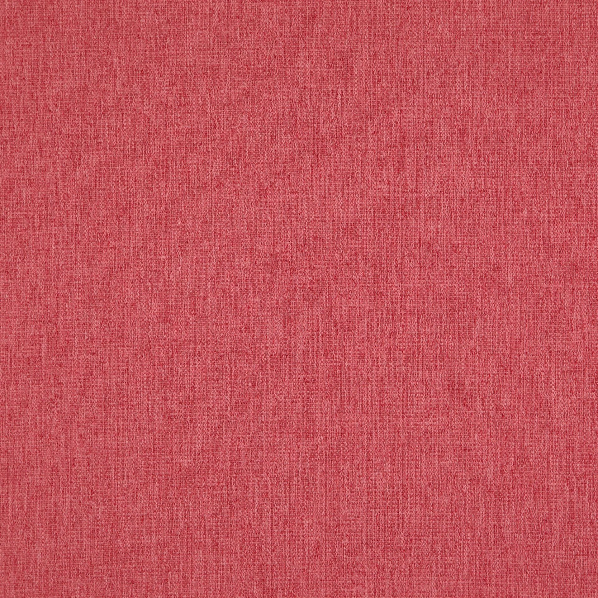 Azalea-_-Speck-Azalea-_Photograph_FlatShot.jpg