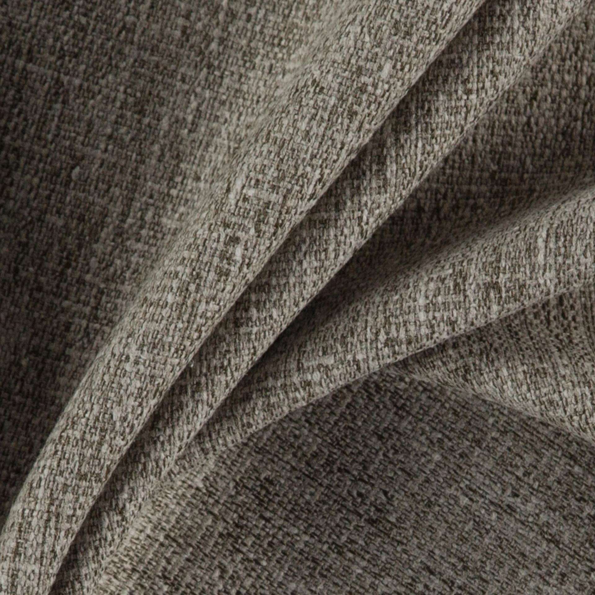 Chinchilla-_-Speck-Chinchilla-_Photograph_CloseUp.jpg