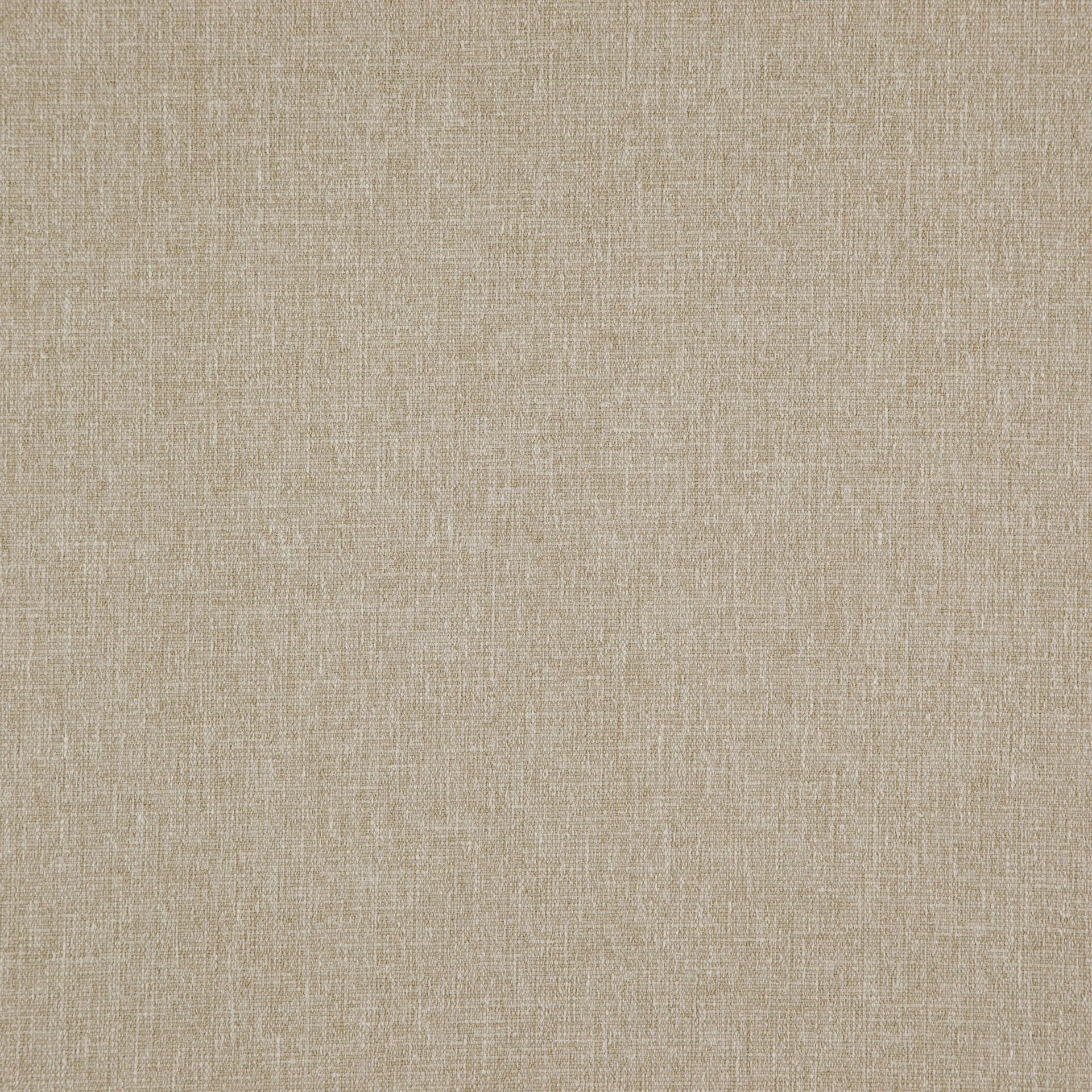 Dune-_-Speck-Dune-_Photograph_FlatShot.jpg