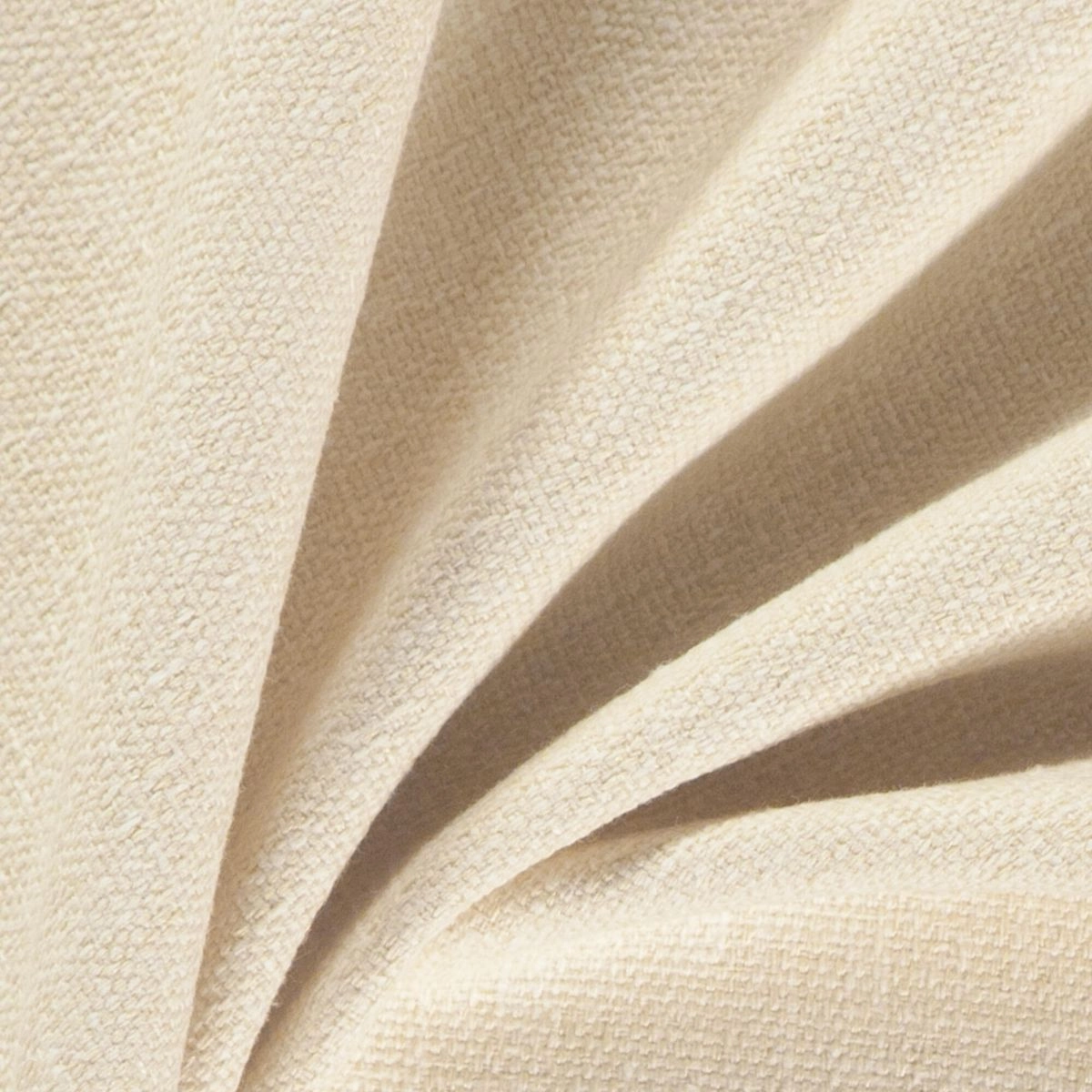 Ivory-_-Speck-Ivory-_Photograph_CloseUp.jpg