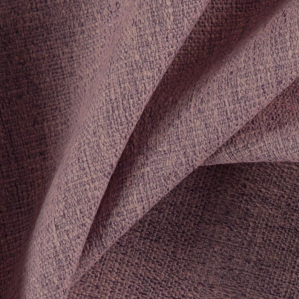 Lotus-_-Speck-Lotus-_Photograph_CloseUp.jpg