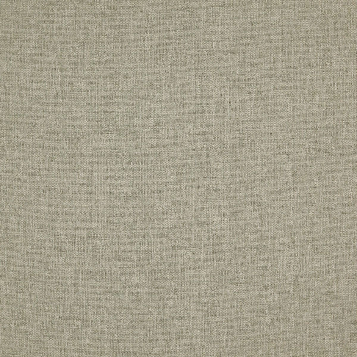Mastic-_-Speck-Mastic-_Photograph_FlatShot.jpg