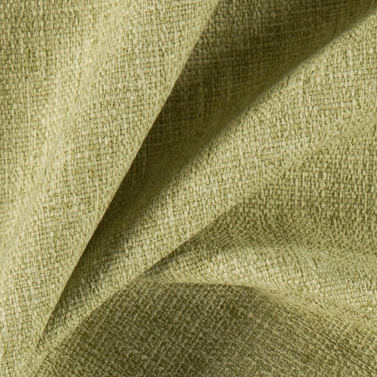 Moss-_-Speck-Moss-_Photograph_CloseUp.jpg