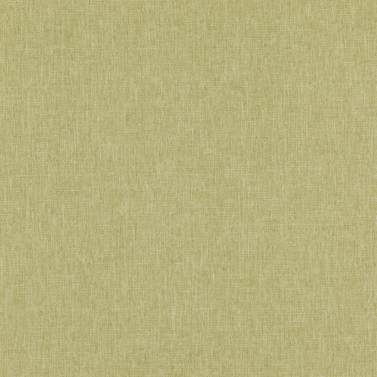 Moss-_-Speck-Moss-_Photograph_FlatShot.jpg
