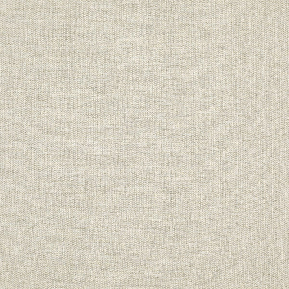 Papyrus-_-Mig-Papyrus-_Photograph_FlatShot.jpg