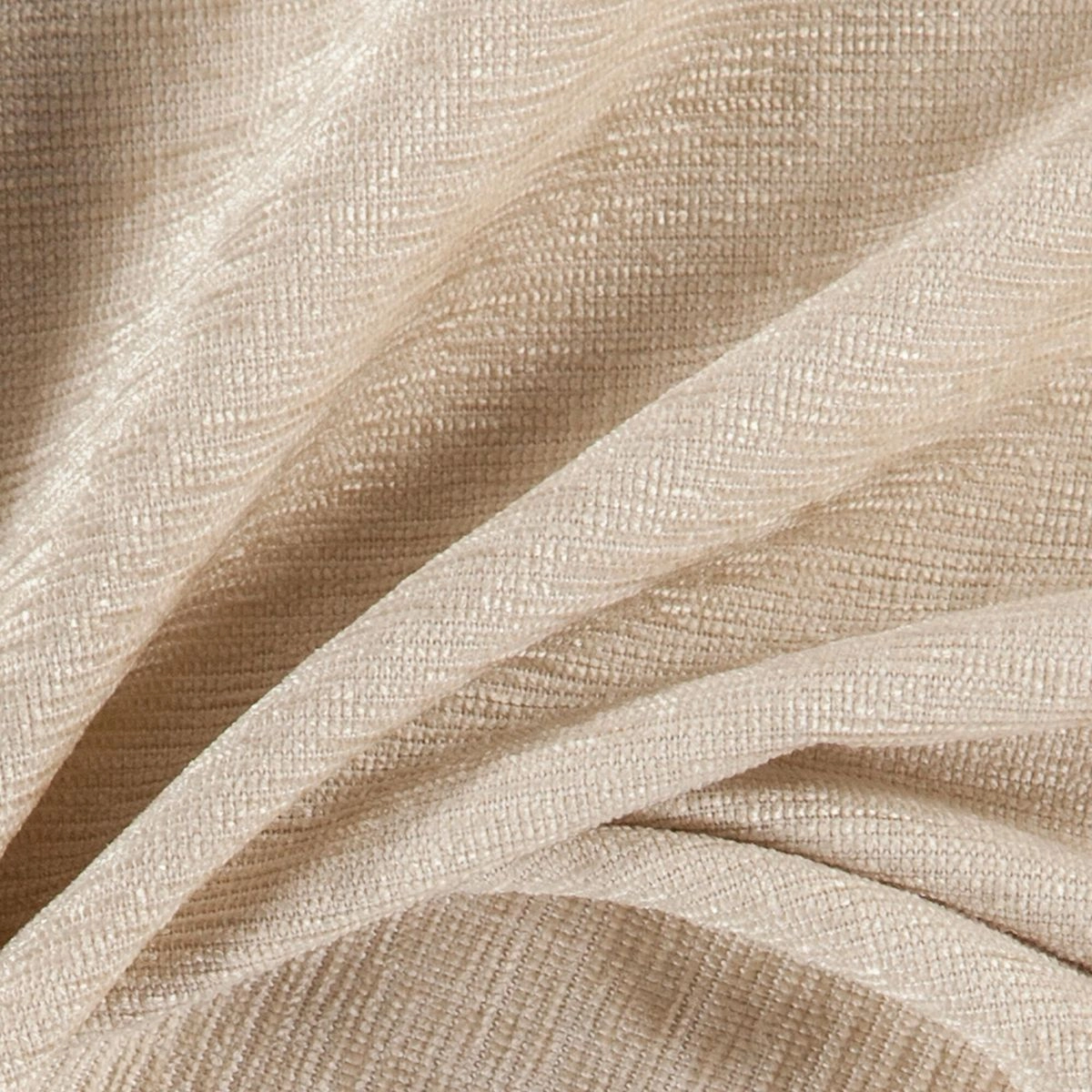 Papyrus-_-Dense-Papyrus-_Photograph_CloseUp.jpg