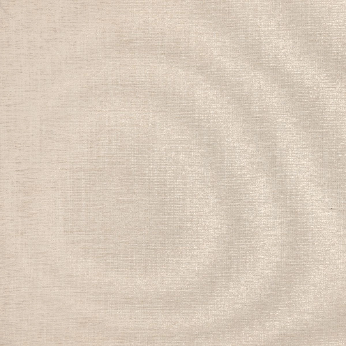 Papyrus-_-Dense-Papyrus-_Photograph_FlatShot.jpg