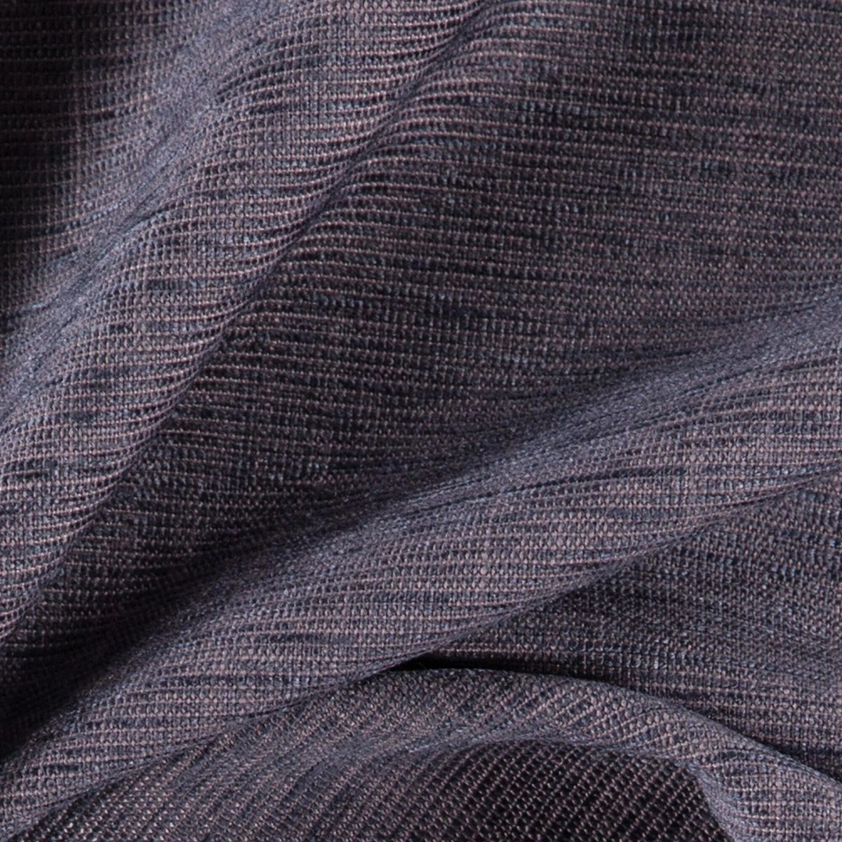 Plum-_-Dense-Plum-_Photograph_CloseUp.jpg