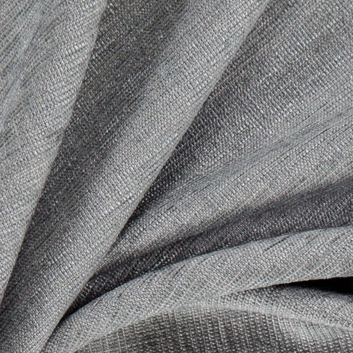 Shark-_-Dense-Shark-_Photograph_CloseUp.jpg