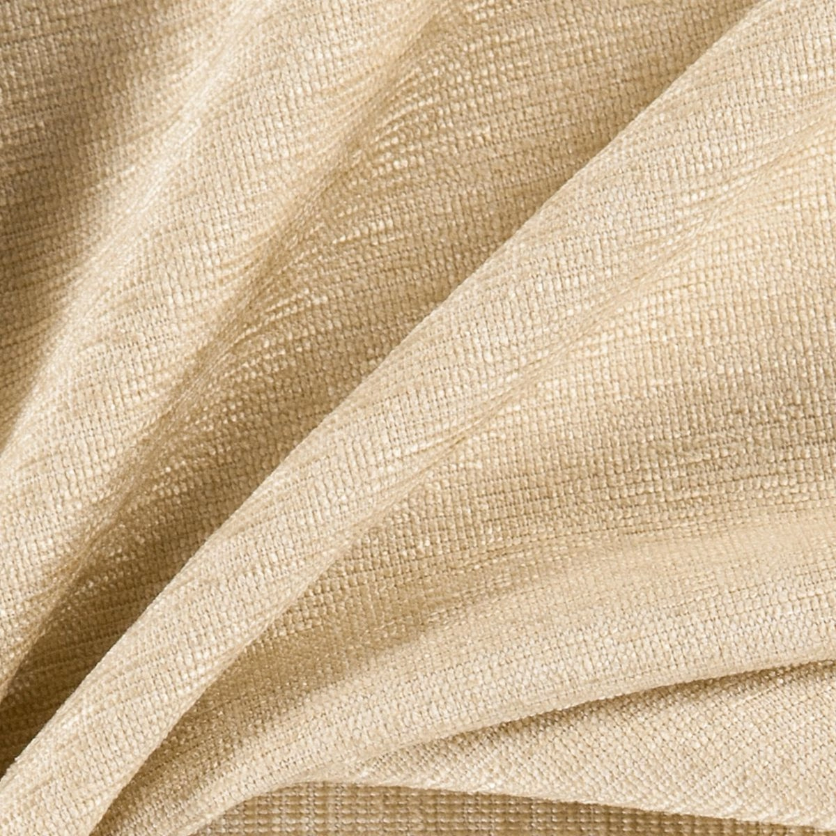 Dune-_-Dense-Dune-_Photograph_CloseUp.jpg