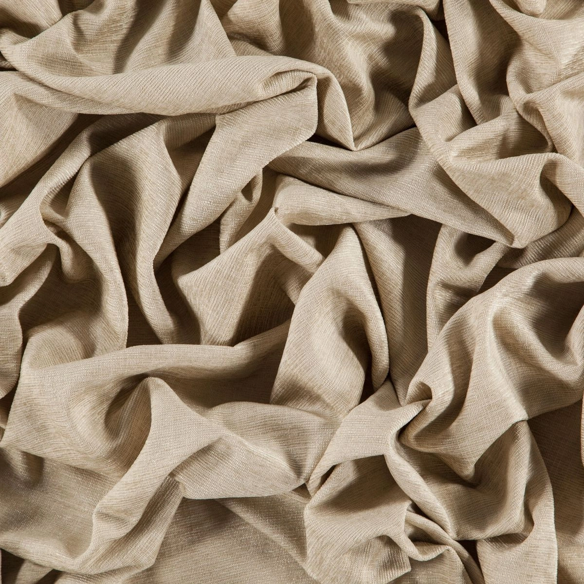Flax-_-Dense-Flax-_Photograph_Wrinkeled.jpg