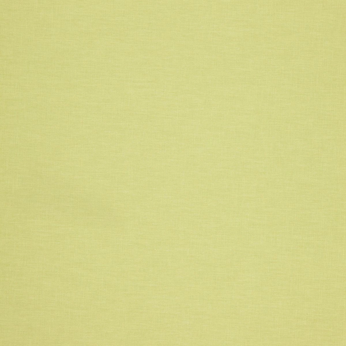 Lime-_-Pastel-Lime-_Photograph_FlatShot.jpg