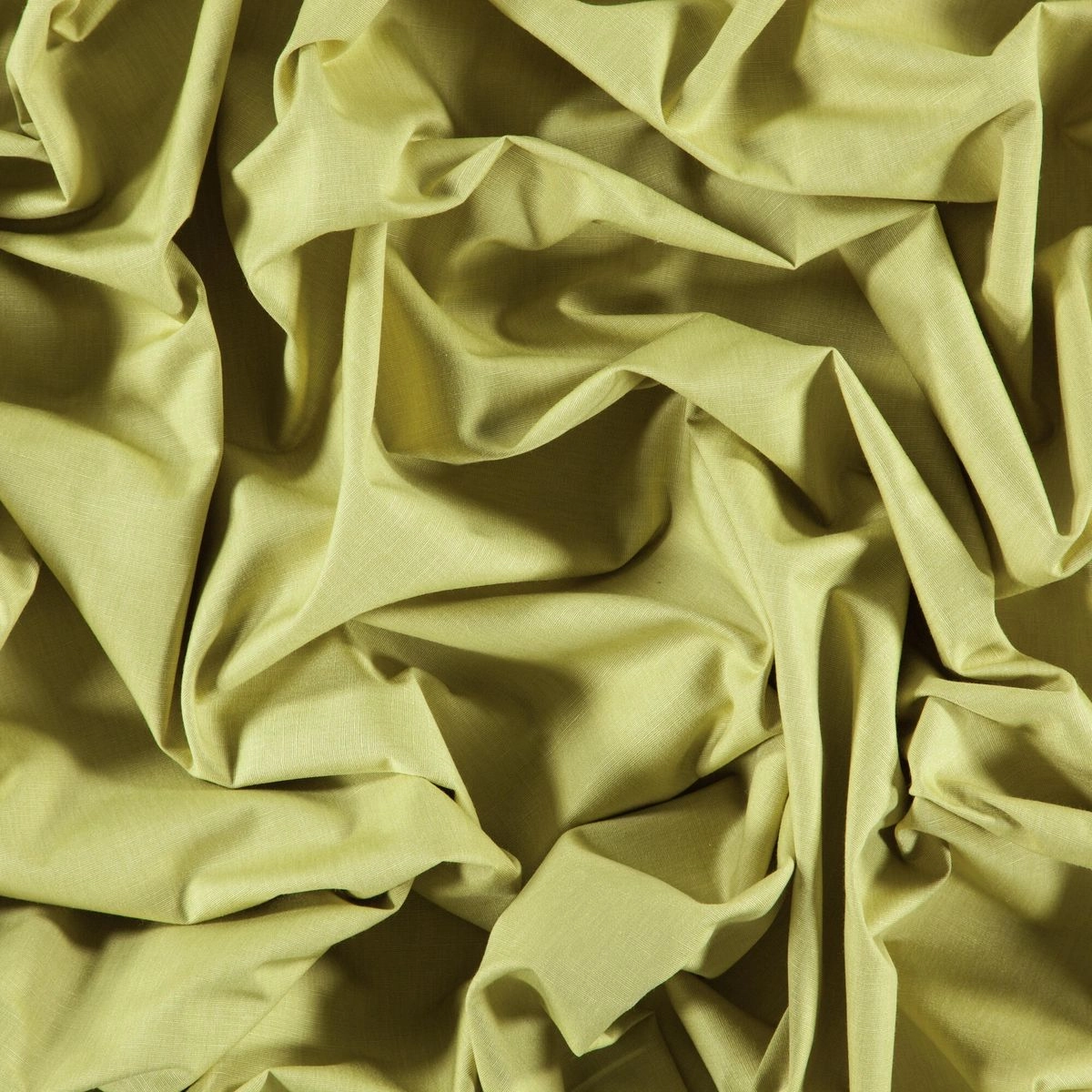Lime-_-Pastel-Lime-_Photograph_Wrinkeled.jpg