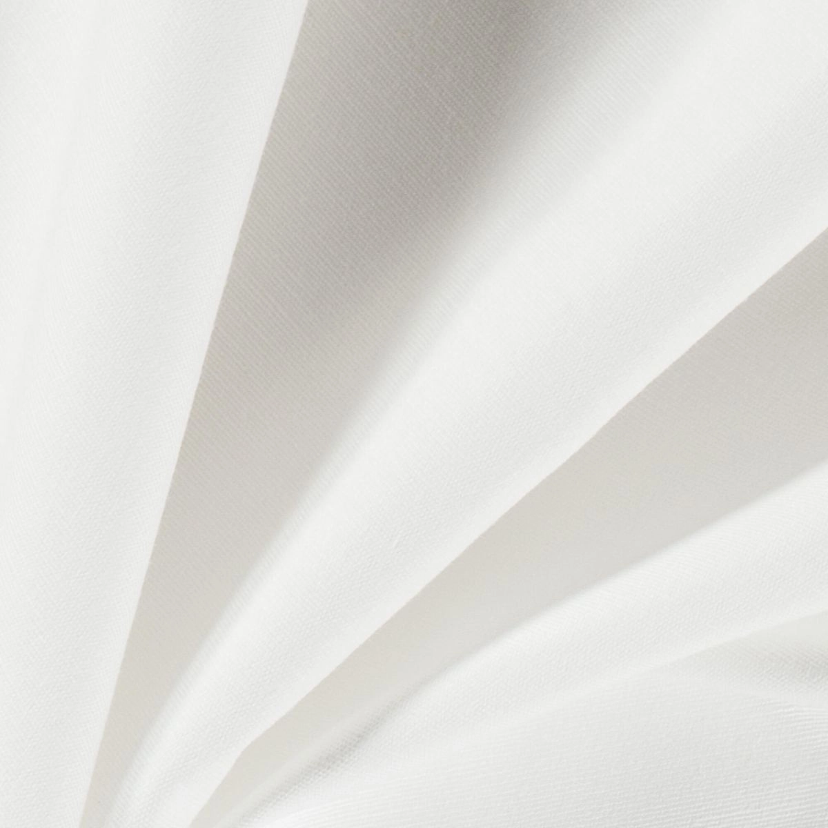 Swan-_-Pastel-Swan-_Photograph_CloseUp.jpg