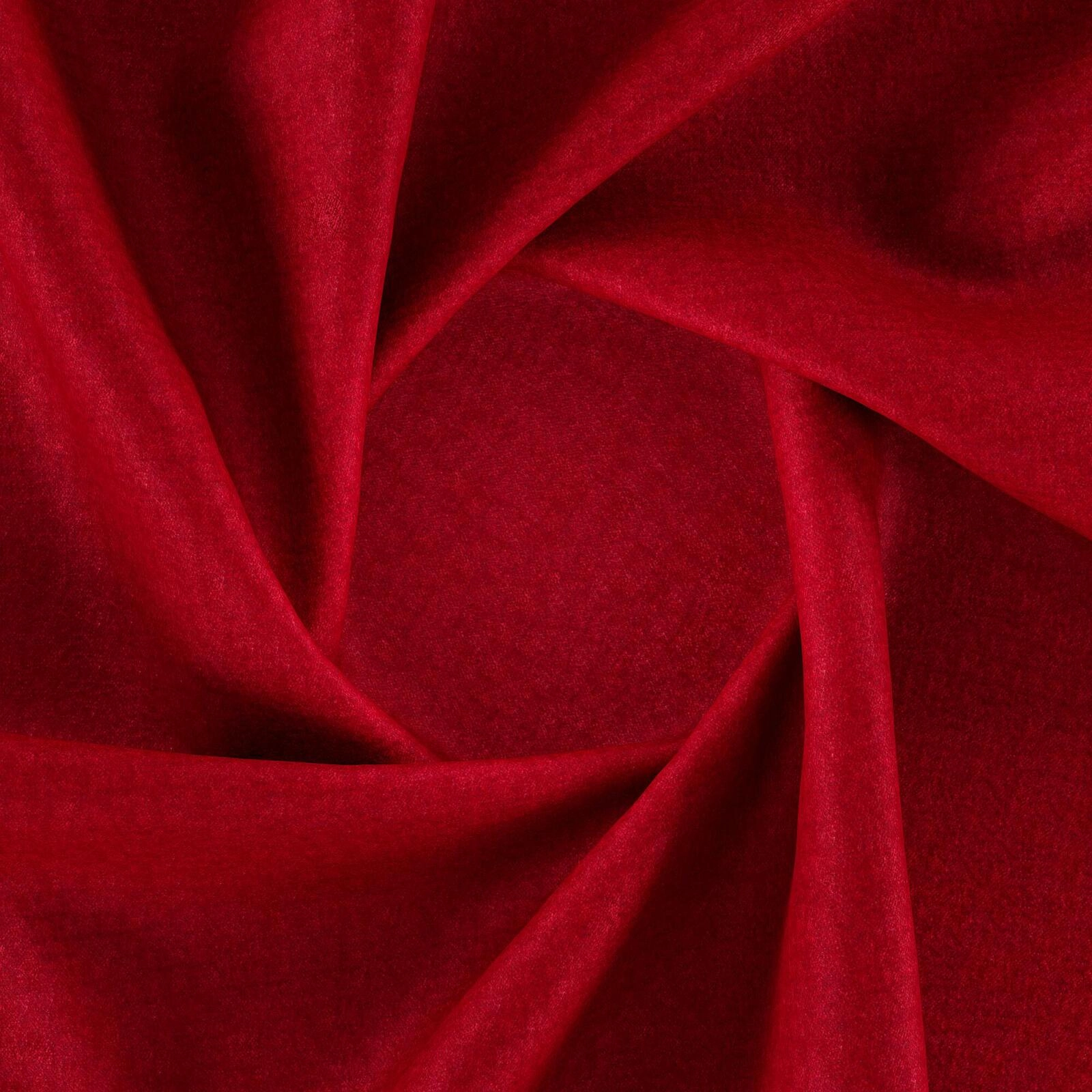 Primiero_Cardinal_3110022_15.jpg