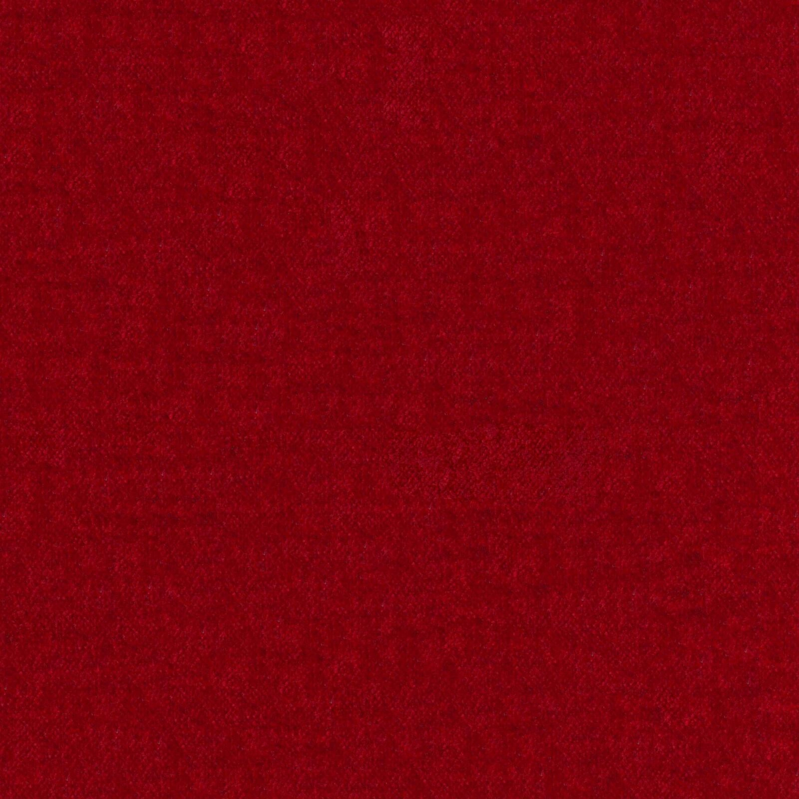 Primiero_Cardinal_3110022_2.jpg