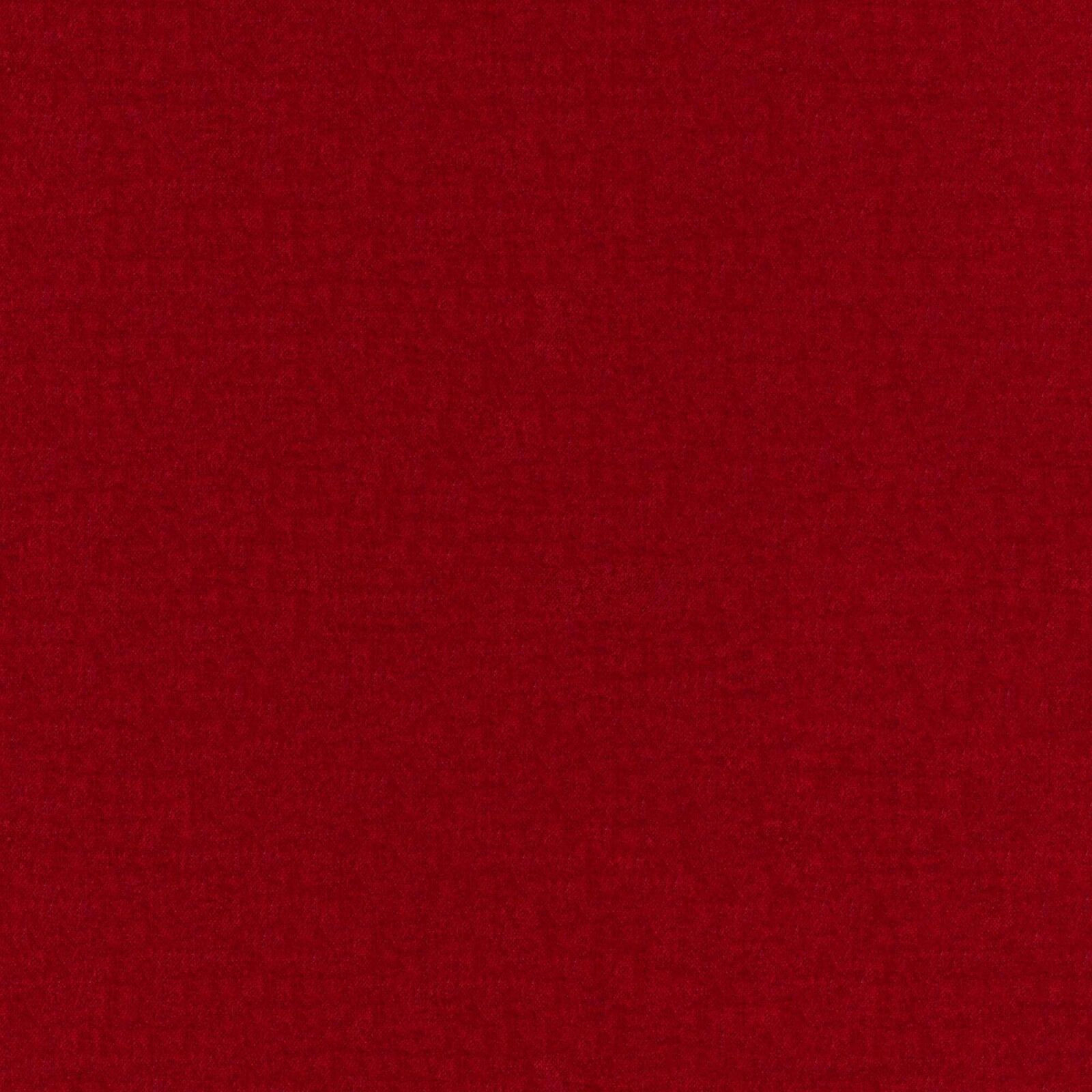 Primiero_Cardinal_3110022_46.jpg