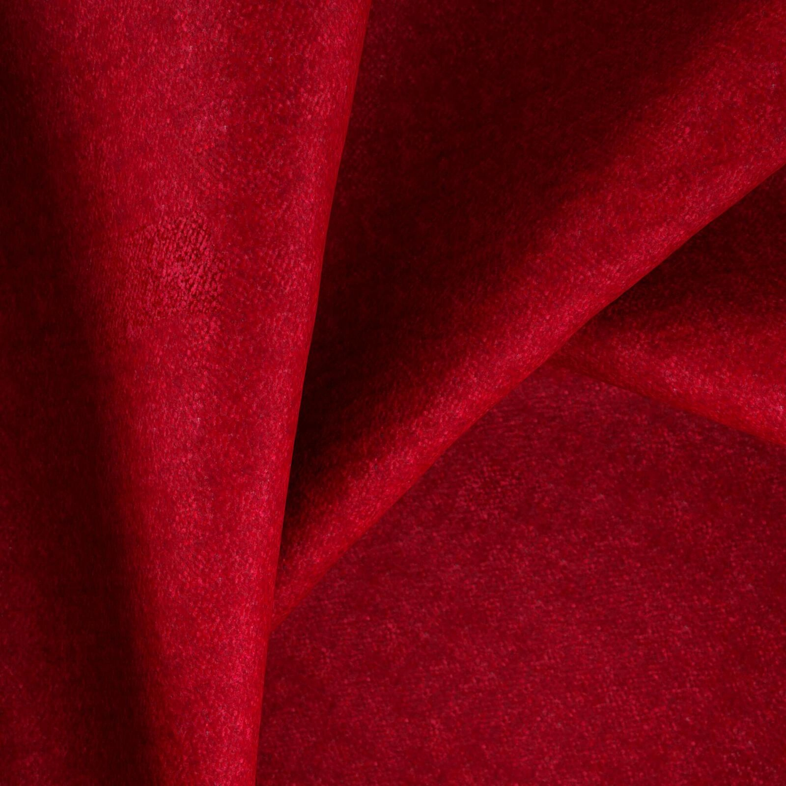 Primiero_Cardinal_3110022_8.jpg