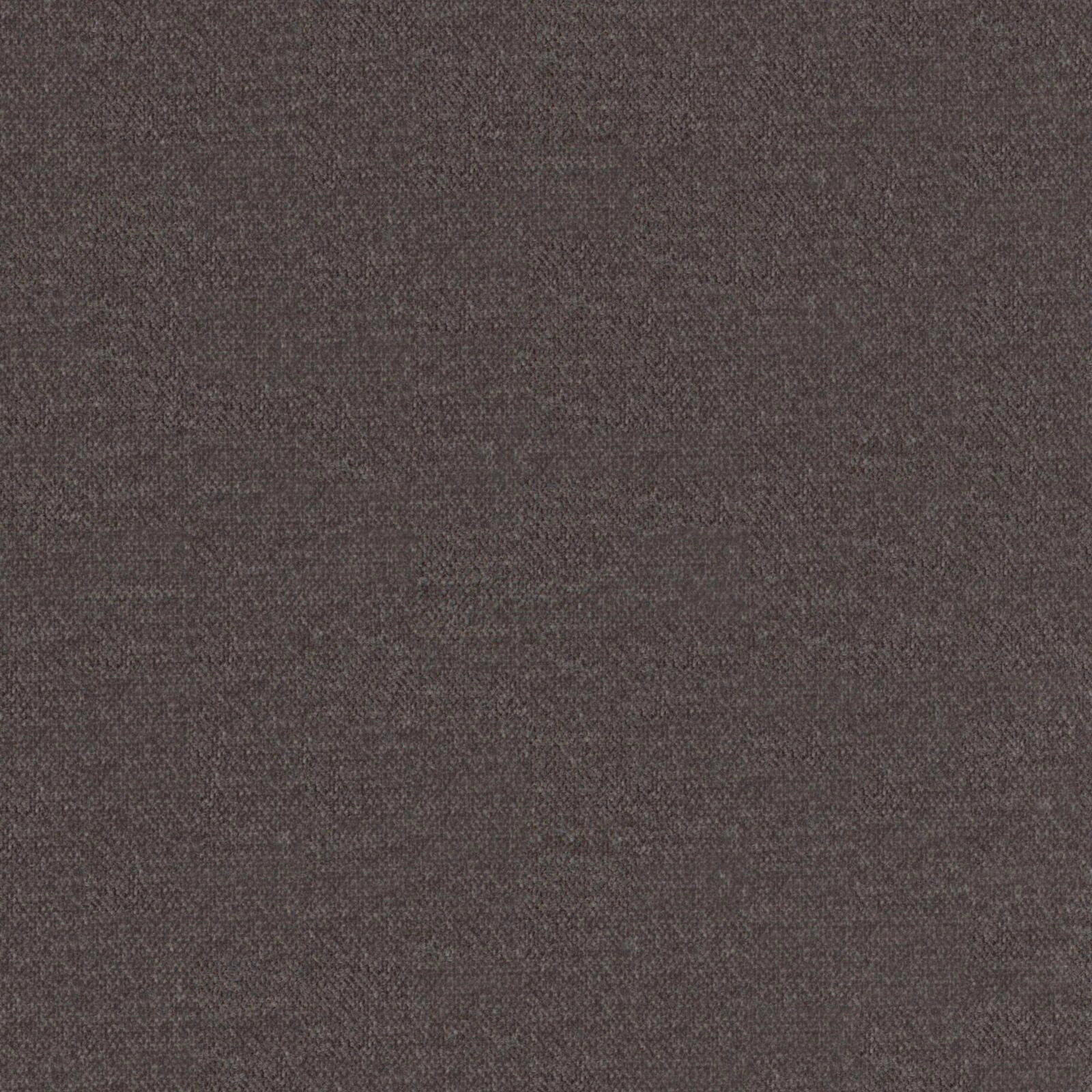 Primiero_Charcoal_3110031_48.jpg