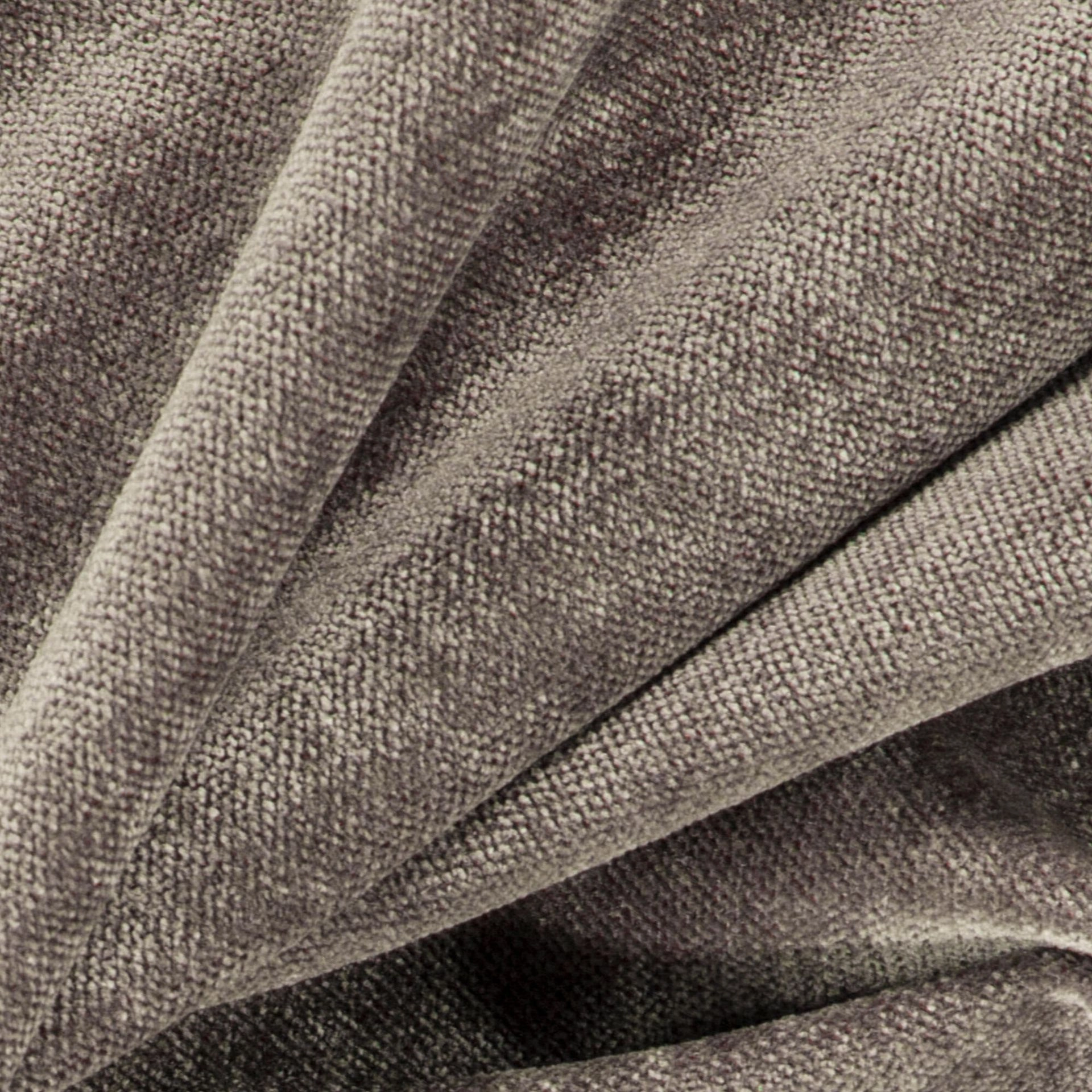 Bolshoi--Bolshoi--14-Chinchilla - Primiero Chinchilla 3110017--Photograph_CloseUp.JPG