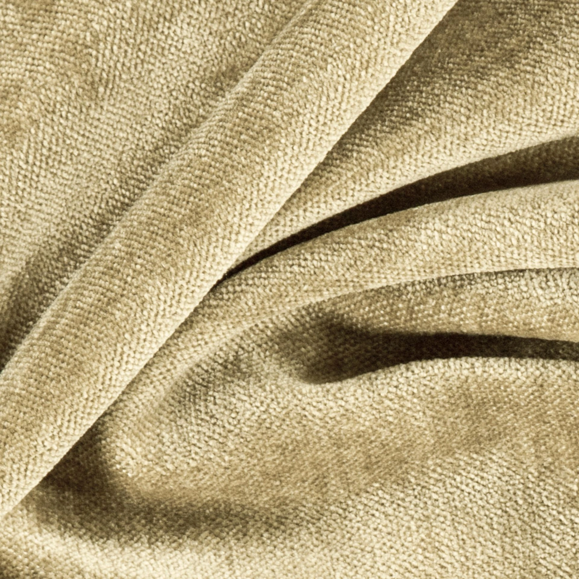 Bolshoi--Bolshoi--08-Cocoon - Primiero Cocoon 3110039--Photograph_CloseUp.JPG