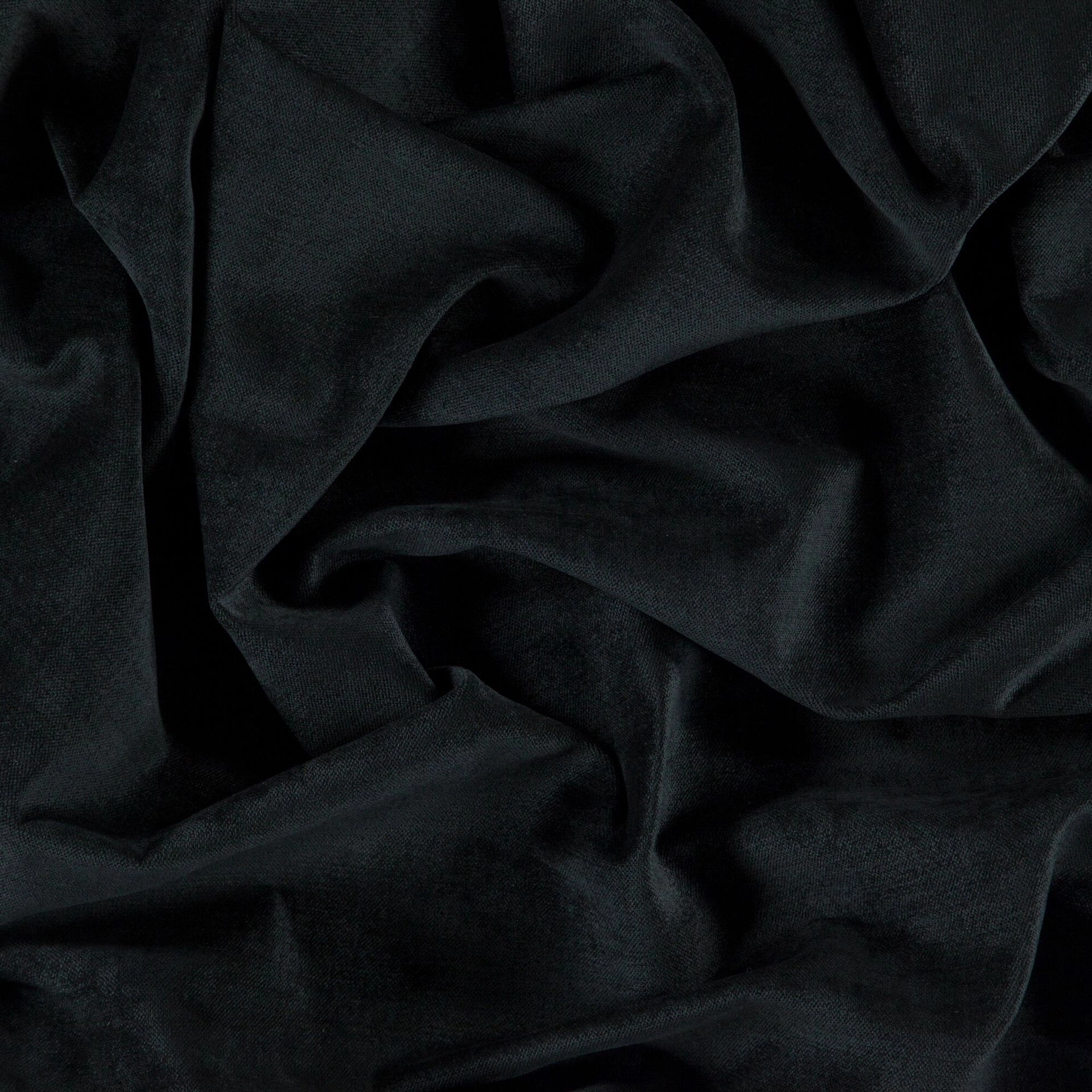 Bolshoi--Bolshoi--19-Ebony - Primiero Ebony 3110021--Photograph_Wrinkeled.JPG