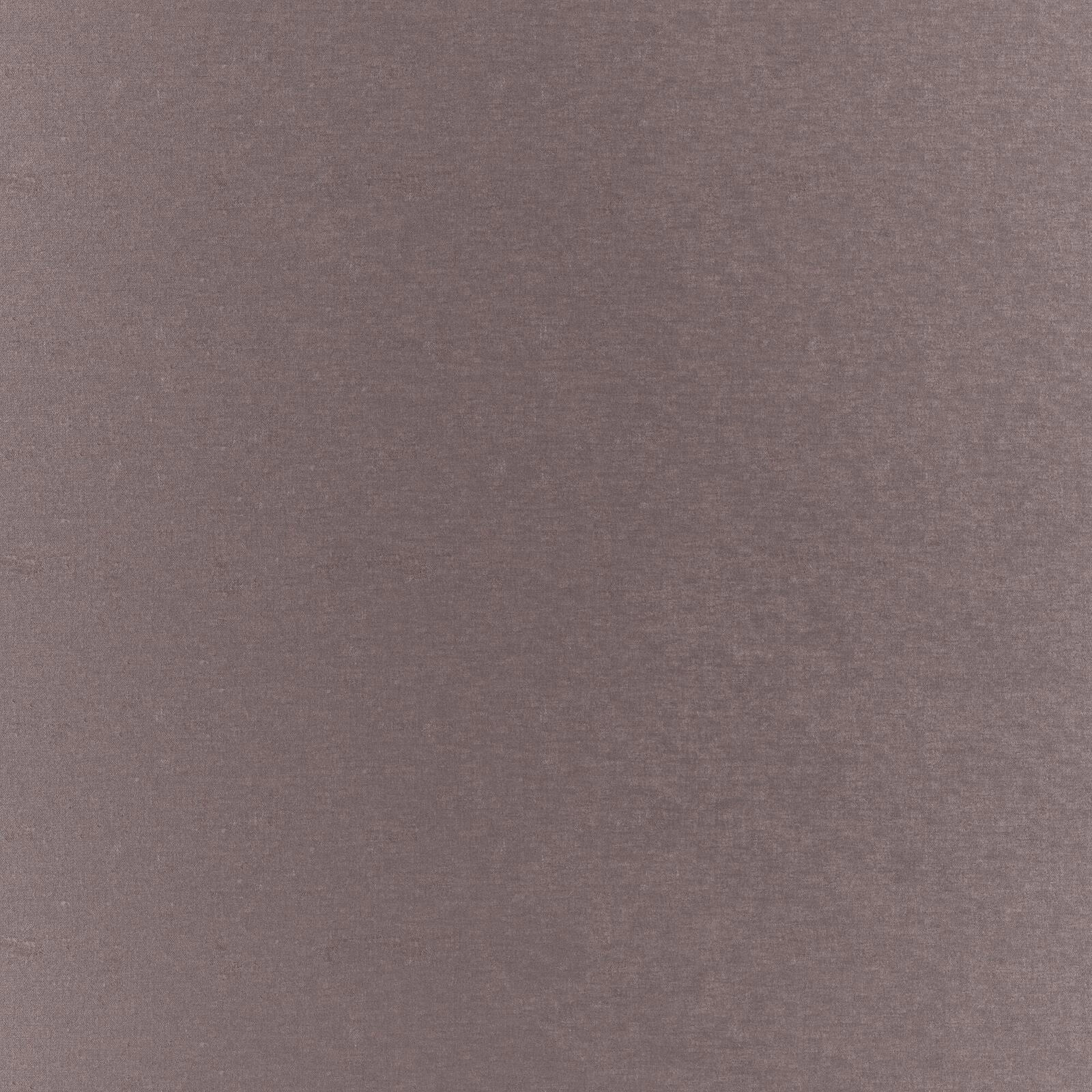 Primiero_Fossil_3110018_20.jpg